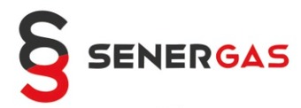 Senergas Logo